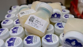 A close-up image of 3-ounce containers of breast milk.