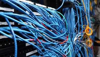 A mass of blue network cables are plugged into a server.