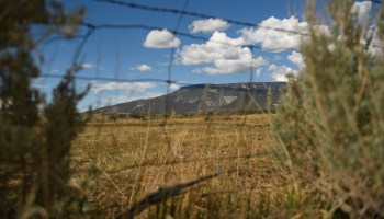 Cattle grazing land leased by Janie VanWinkle but left unused due to a lack of rain or water irrigation system during the historic western Colorado drought on June 30, 2021 in Mesa County near Whitewater, Colorado.