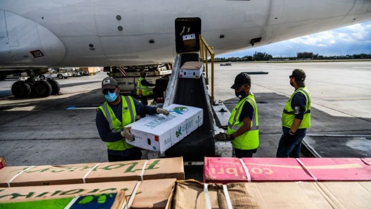 Workers in yellow vests unload boxes from the cargo area of a plane.