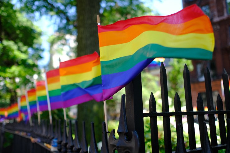 A line of rainbow Pride flags.