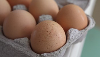 A carton of eggs in seen.