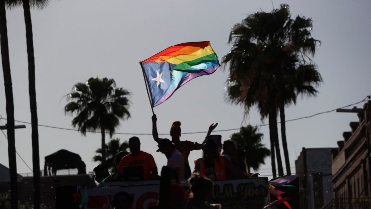 An LGBTQ flag waves among the silhouettes of people celebrating a Pride parade in Tampa, Florida. There are also silhouettes of palm trees.