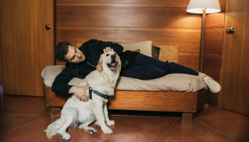 Earlier this year, Airbnb CEO Brian Chesky announced he had begun “living on Airbnb” moving to a new city every couple of week. Above: Chesky and his dog Sophie in Ann Arbor, Michigan