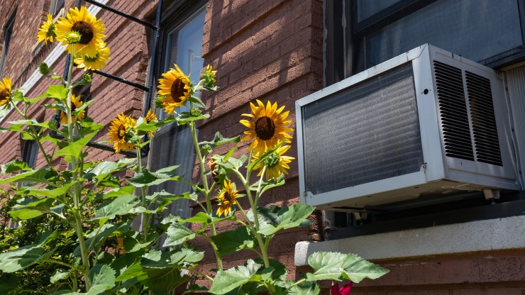 A window AC unit sits in the window of a brick building, with a fire escape in the background and sunflowers in the foreground.