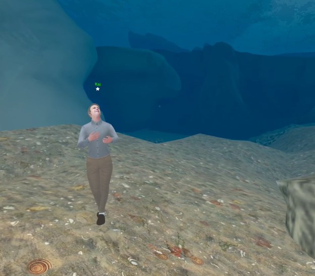 The virtual avatar for Kai Ryssdal walks on the ocean floor and is looking upward.