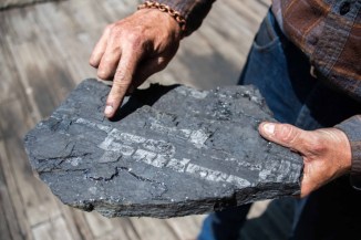 David Byrd points out a fossilized imprint of a stick in a piece of coal.