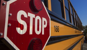 A "stop" attached to a yellow school bus.