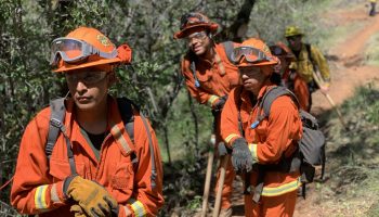 Three young men appear in orange firefighting gear in the Sacramento foothills.