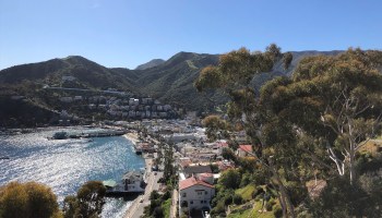 The shore of Avalon, California, on Catalina Island. Desalination supplements the island's supply of freshwater.