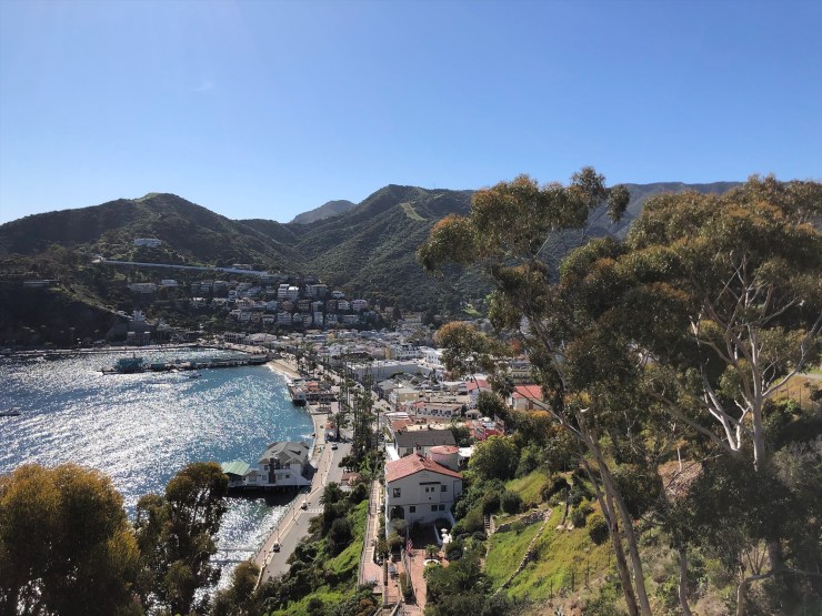The shore of Avalon, California, on Catalina Island. Desalination supplements the island's supply of freshwater.
