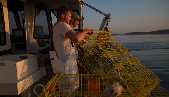 Two lobster fishermen pull up a trap on their boat in Maine.