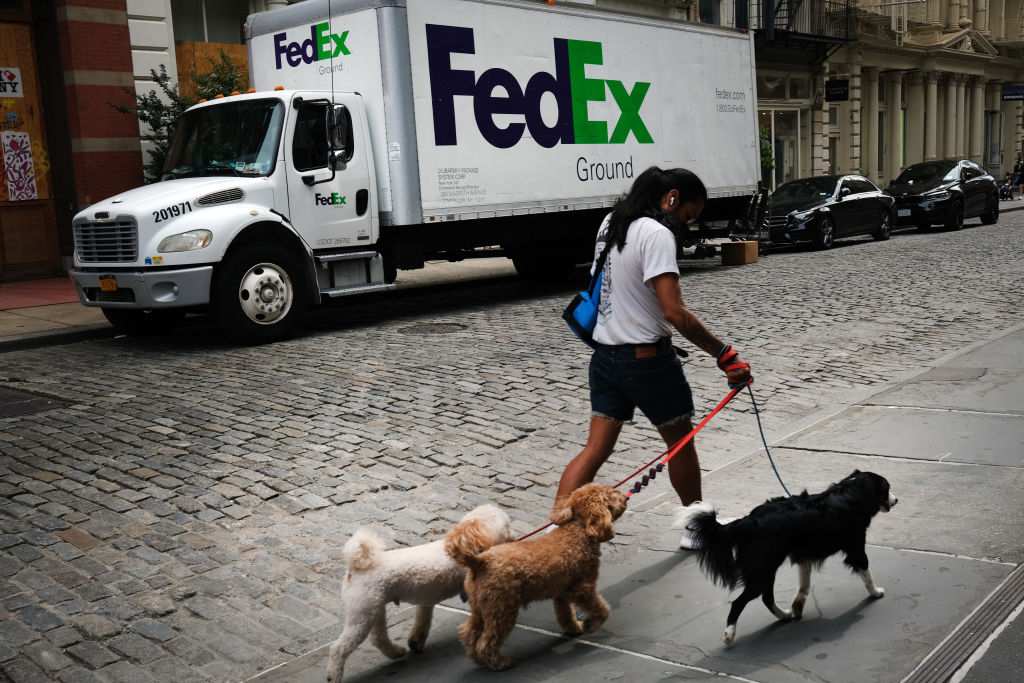 can you send a dog through fedex