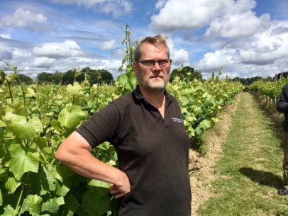 Graham Barbour, founder of the Woodchurch Vineyard in Kent, stands in the vineyard with his hands on his hips and a stern expression in his face.