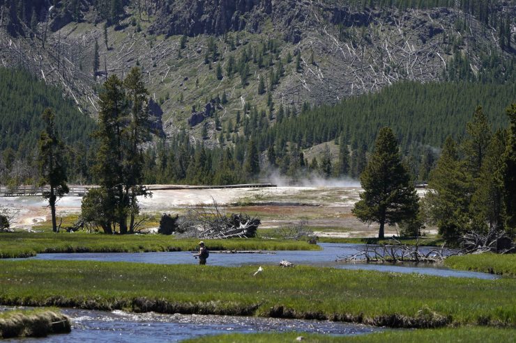A man fishes in June in Iron Spring Creek in Yellowstone National Park after it was closed for over a week.