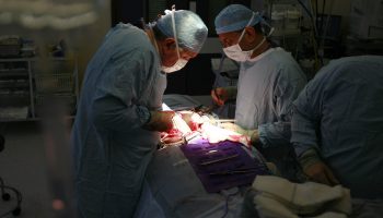 Two doctors work on a kidney transplant, shining a flashlight into the cavity of a patient as they work.