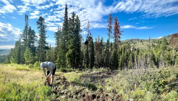 Sublette Trails Association member Ryan Grove fixes an old trail in the Wind River Range in northwest Wyoming.