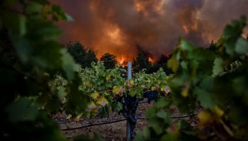 A wildfire threatens a vineyard in Napa Valley.
