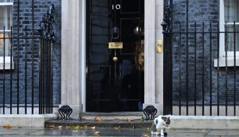 LONDON, ENGLAND - OCTOBER 20: Larry the cat sits outside the front door of Number 10 in Downing Street after Prime Minister Liz Truss announced her resignation on October 20, 2022 in London, England. Liz Truss has been the UK Prime Minister for just 44 days and has had a tumultuous time in office. Her mini-budget saw the GBP fall to its lowest-ever level against the dollar, increasing mortgage interest rates and deepening the cost-of-living crisis. She responded by sacking her Chancellor Kwasi Kwarteng, whose replacement announced a near total reversal of the previous policies. Yesterday saw the departure of Home Secretary Suella Braverman and a chaotic vote in the House of Commons chamber. (Photo by Leon Neal/Getty Images)