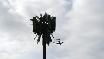 A cellular tower disguised as a palm tree stands as an airplane lands at Los Angeles International Airport.