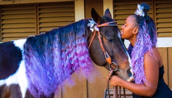 As a little girl, Chanel Rhodes never saw people like her riding horses. Now she’s an equestrian entrepreneur.
