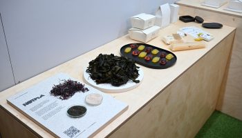 Examples of Notpla's biodegradable packaging made from seaweed.