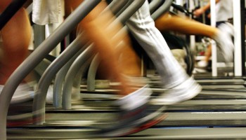 A shot of various people's legs while they run on treadmills.