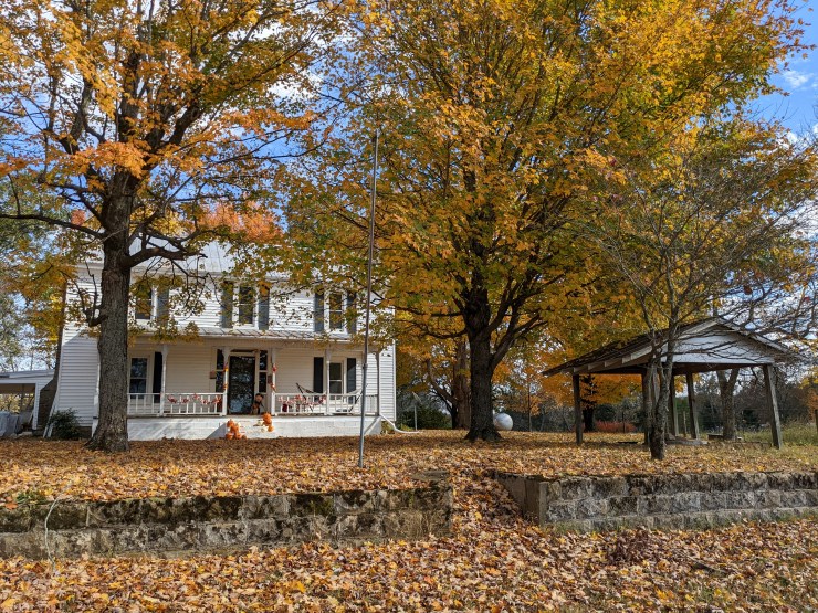 The Ostrovkys' farmhouse. A white, two-story home with black shutters and a front porch is seen with two large trees in front of it. It's fall, so the leaves are orange and there are many orange and brown fallen leaves in the front yard. 