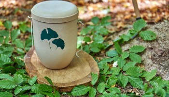 An urn with a picture of a leaf on it.