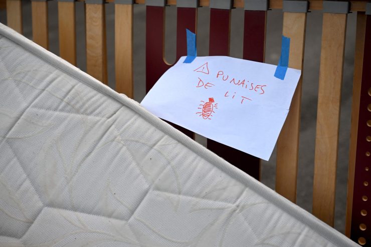 A sign posted on a wooden headboard in the street reads "Punaises de Lit." It is written in red text on a piece of white printer paper and taped to the headboard with blue painter's tape. The sign is above a white mattress that's leaning up against the headboard.