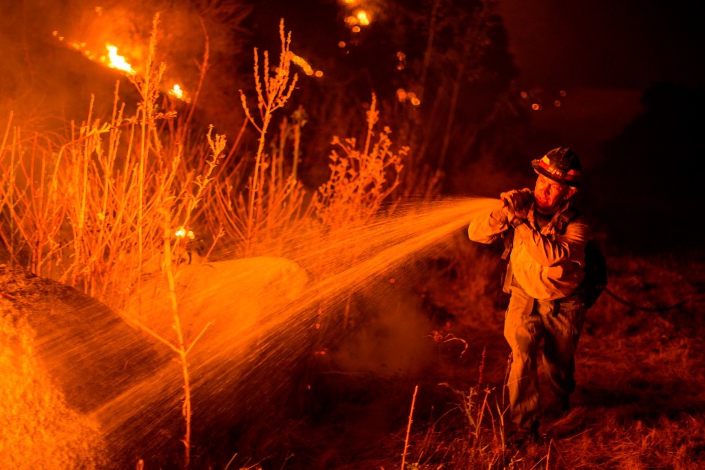 A firefighter sprays water on brush.