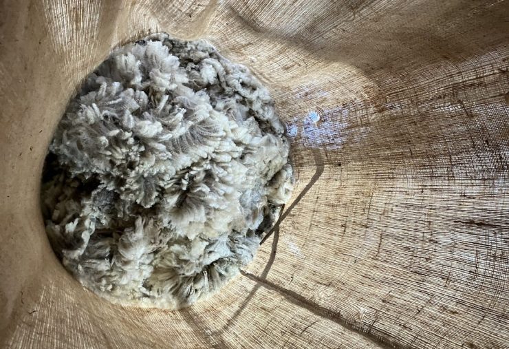 With low wool prices, Midwestern sheep farmers are innovating with the fiber